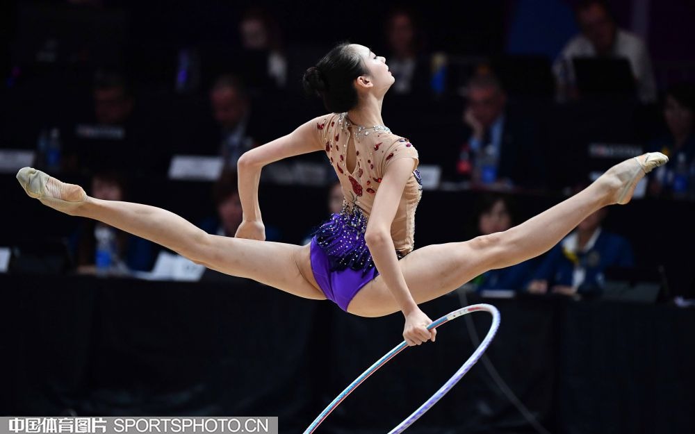 王者荣耀职业选手英雄池统计