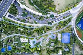 炸金花里最蠢的操作（炸金花中最致命的失误）